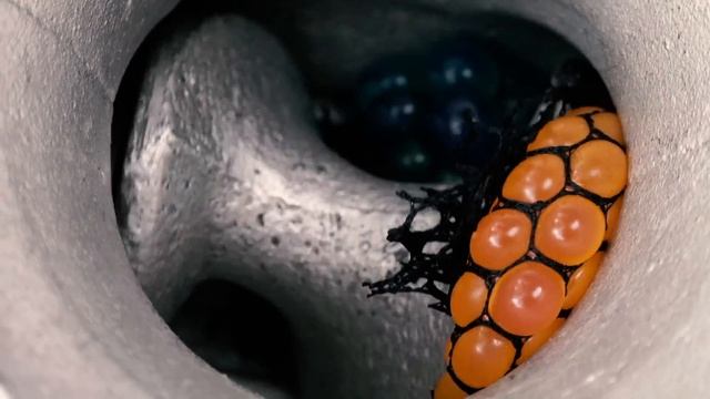 EXPERIMENT: BALL WITH GARLICK SNAPPERS IN MEAT GRINDER