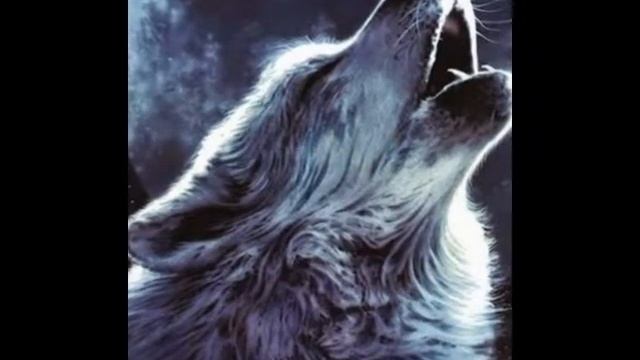 Волк воит на луну слайд шоу! смотреть онлайн