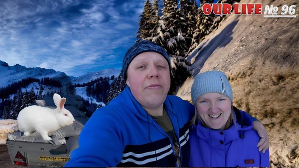 Трудности фермера. Вкусный кролик. Farmer's difficulties. Tasty rabbit.