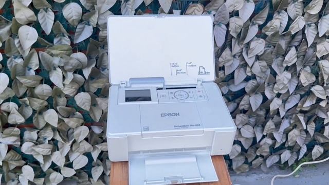 Epson PictureMate PM 400 Wireless Compact Color Photo Printer Review смотреть онлайн