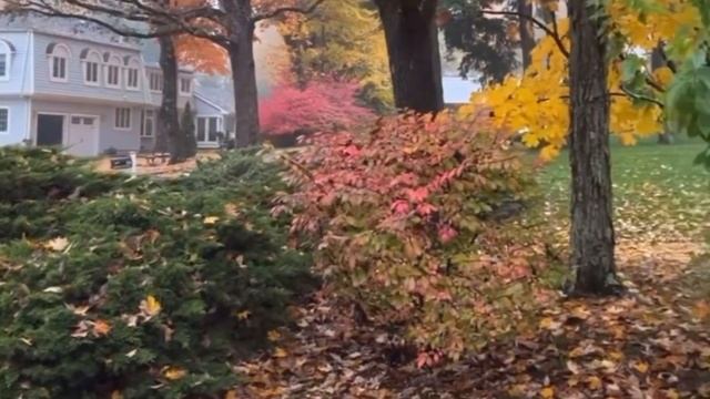 Падают листья…Ю.В.Шатунов смотреть онлайн