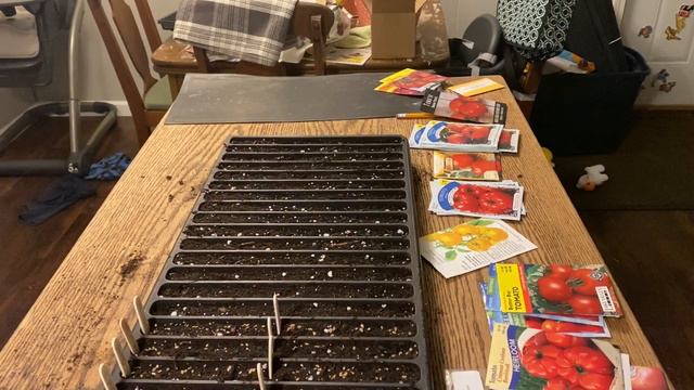 START SEEDS WITH ME! | Starting 30 Tomato Varieties смотреть онлайн
