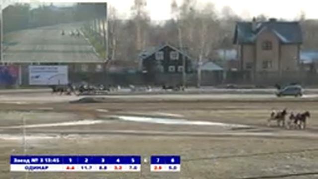 РАМ 18.11.23 3-й заезд смотреть онлайн