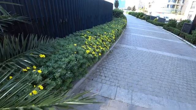 Взял отпуск и поехал к отцу в Азербайджан/Баку-пешком по городу/Часть 7. смотреть онлайн