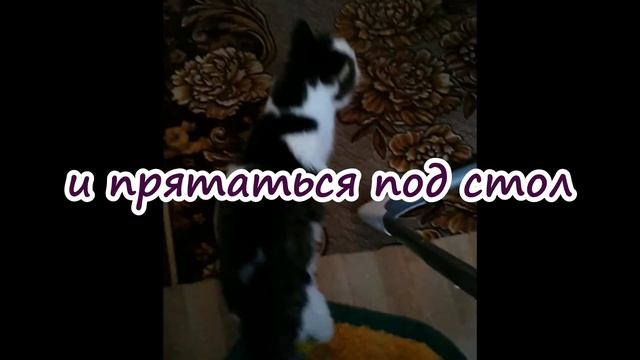 В память о Грине *A la memoire de Grinya* смотреть онлайн