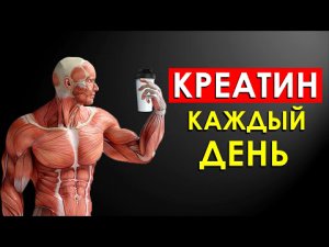 Что Будет, если Принимать Креатин Каждый День