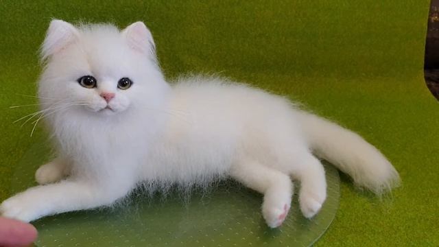 валяная белая кошка смотреть онлайн