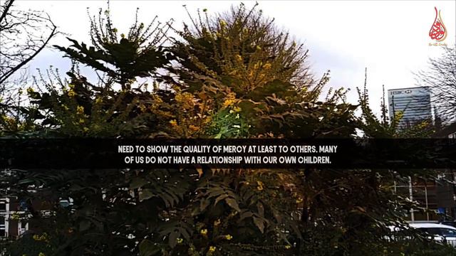 Are You Really A Merciful Servant Of Allah!! смотреть онлайн