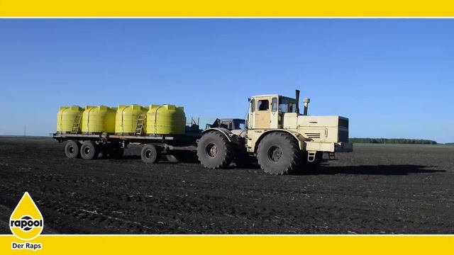 Технология возделывания ярового рапса на примере хозяйства в СКО смотреть онлайн