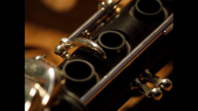 Overhaul Yamaha 650 Bb clarinet Riparazione sax clarinetto flauto ottavino Bergamo смотреть онлайн