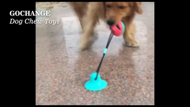 Игрушка на присоске для собак смотреть онлайн