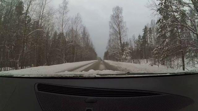 ЛОСЬ (животное на дороге, регистратор)