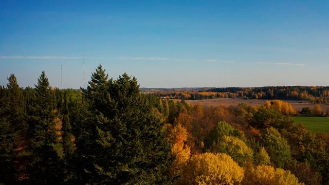 Mustila arboretum, syksyn ruskaa 2021 смотреть онлайн