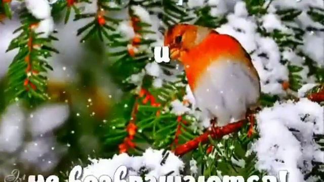 С наступающим Новым Годом!