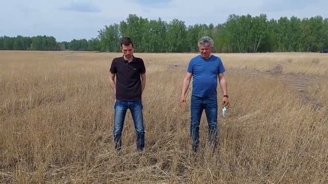 No-Till без гербицидов и удобрений, прибыльные сидераты и удивительные опыты в Сибири смотреть онлайн