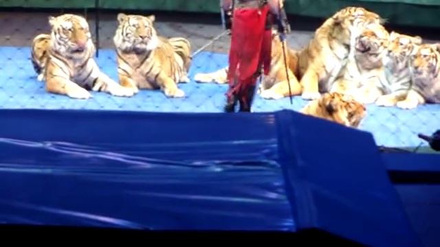 Запашные - трюк со Львом