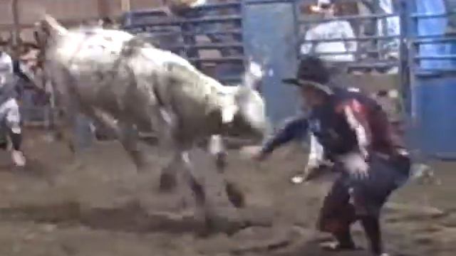 Crazy 3 Buck'n Bulls & Cattle Co - Croton Spring Bull Bash 014 смотреть онлайн