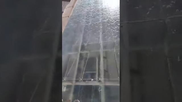 Esto SOLO Pasa en México ?? ?? #fyp #vlog #cdmx #edgarinn смотреть онлайн