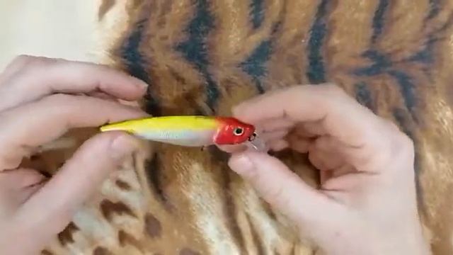 Распаковка посылки с воблером от интернет магазина Fmagazin. Fishycat Tomkat 80sp Sr.