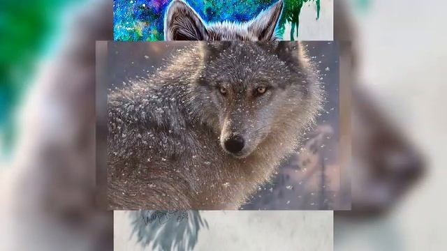 Красивые картинки волков❤️? смотреть онлайн
