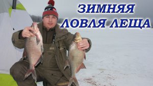 Зимняя рыбалка на леща. Подледный фидер.
