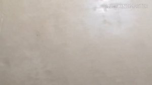 Скульптурный пластилин, от фирмы Гамма!