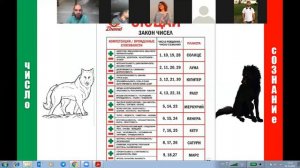 СЮЦАЙ. Что такое Число сознания?