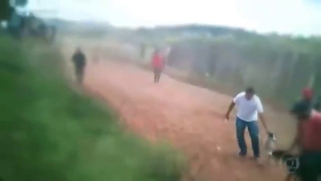 A CRUELDADE DAS CORRIDAS DE GALGO (matéria do FANTÁSTICO na GLOBO) смотреть онлайн