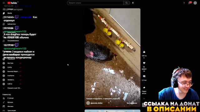 Dragfessik Смотрит - Пришёл поздравить, а пришлось отчитать смотреть онлайн