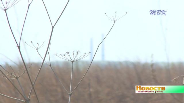 В Искитимском районе начались проверки заброшенных земельных участков смотреть онлайн