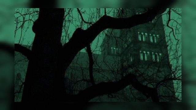 Топ 7 красивых и эстетичных шрифтов НА РУССКОМ И АНГЛИЙСКОМ| ВСЕ ССЫЛКИ В ОПИСАНИИ смотреть онлайн