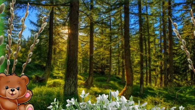 Развивашки // ЦДТ "Ново-Переделкино" смотреть онлайн