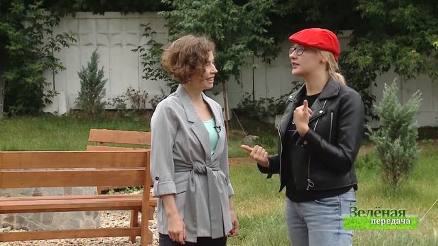 2019 08 20 Зелёная передача смотреть онлайн