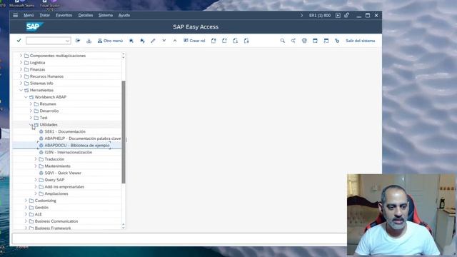 SAP R/3 RECORRIENDO LA INTERFAZ SAP GUI 770 | Úsala como profesional смотреть онлайн