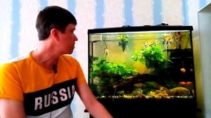 Аквариум 120 литров