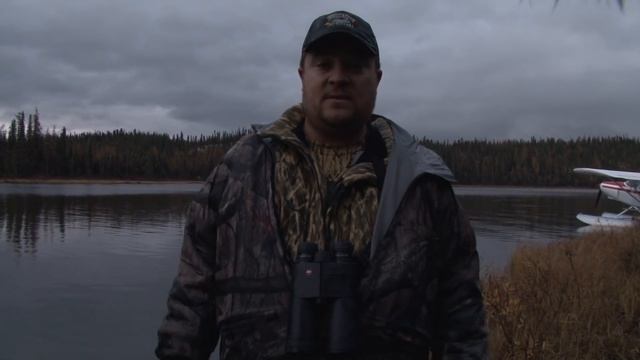 Terrifying Grizzly Bear Encounter And An Old Miserable Yukon Giant Moose смотреть онлайн