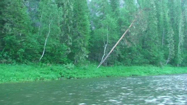 медведица Усть-кабырза смотреть онлайн