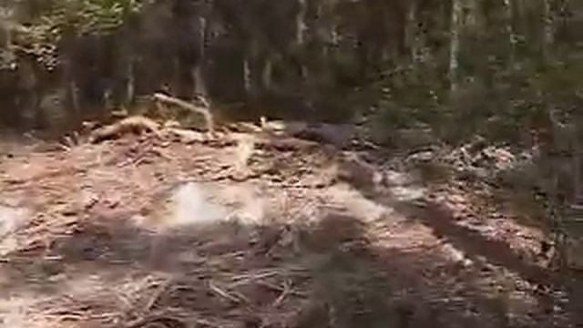 Panty Raiders Gone Wild Part 6 смотреть онлайн