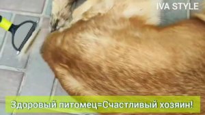 Колтунорез фурминатор для кошек и собак