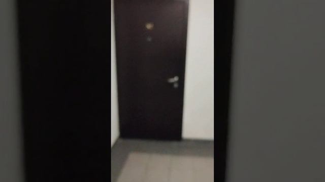видео проверка квартиры параллельная 9 литер 5 11 этаж смотреть онлайн