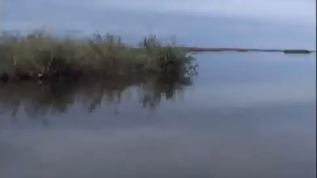 Ловля щуки на спиннинг на лягушку) смотреть онлайн