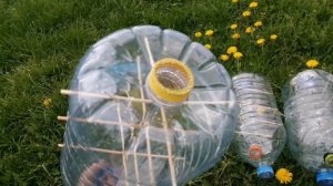 Бутылочное пчеловодство. Мои первые пластиковые корпуса. Подготовка к заселению пчелами.