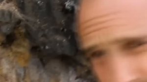 Выживание на необитаемом острове. Эд Стаффорд. Дискавери