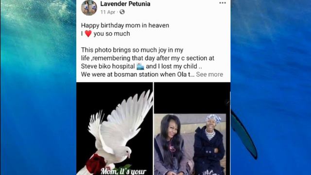 Manyangatsi Ilava Ku khomisiwa hi Lavender Petunia 😱🤣 - Ita ayiniwa ngopfu le Jele 😂 смотреть онлайн