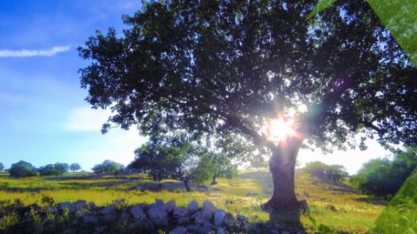 #Дыхание весны#SpringIsComing#Видеоklass#ЖаннаДаценко#