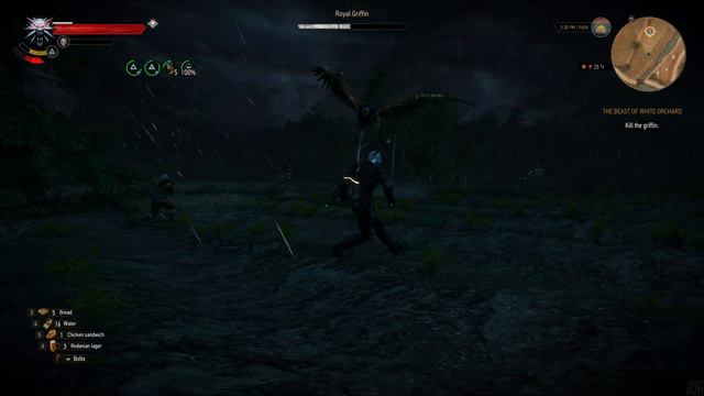 THE WITCHER 3 - Griffin Boss Fight (No Damage, Death March mode) [4K, 60fps] смотреть онлайн