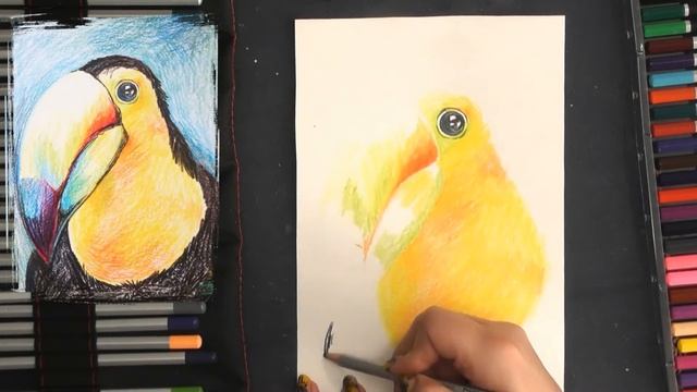 Тукан. Ни дня без кисти #39 смотреть онлайн