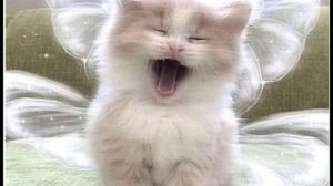 иду по снегу он хрустит: песня