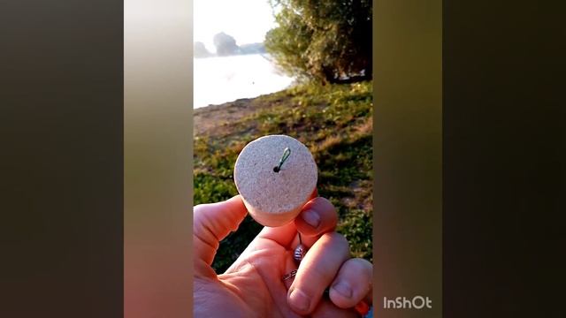 ТЕХНОПЛАНКТОН, рецепт 