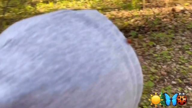 Сказка Лесные загадки Антон и Полина 2 смотреть онлайн